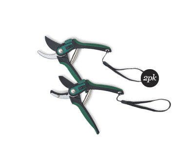 Professional Pruner Set 2pc