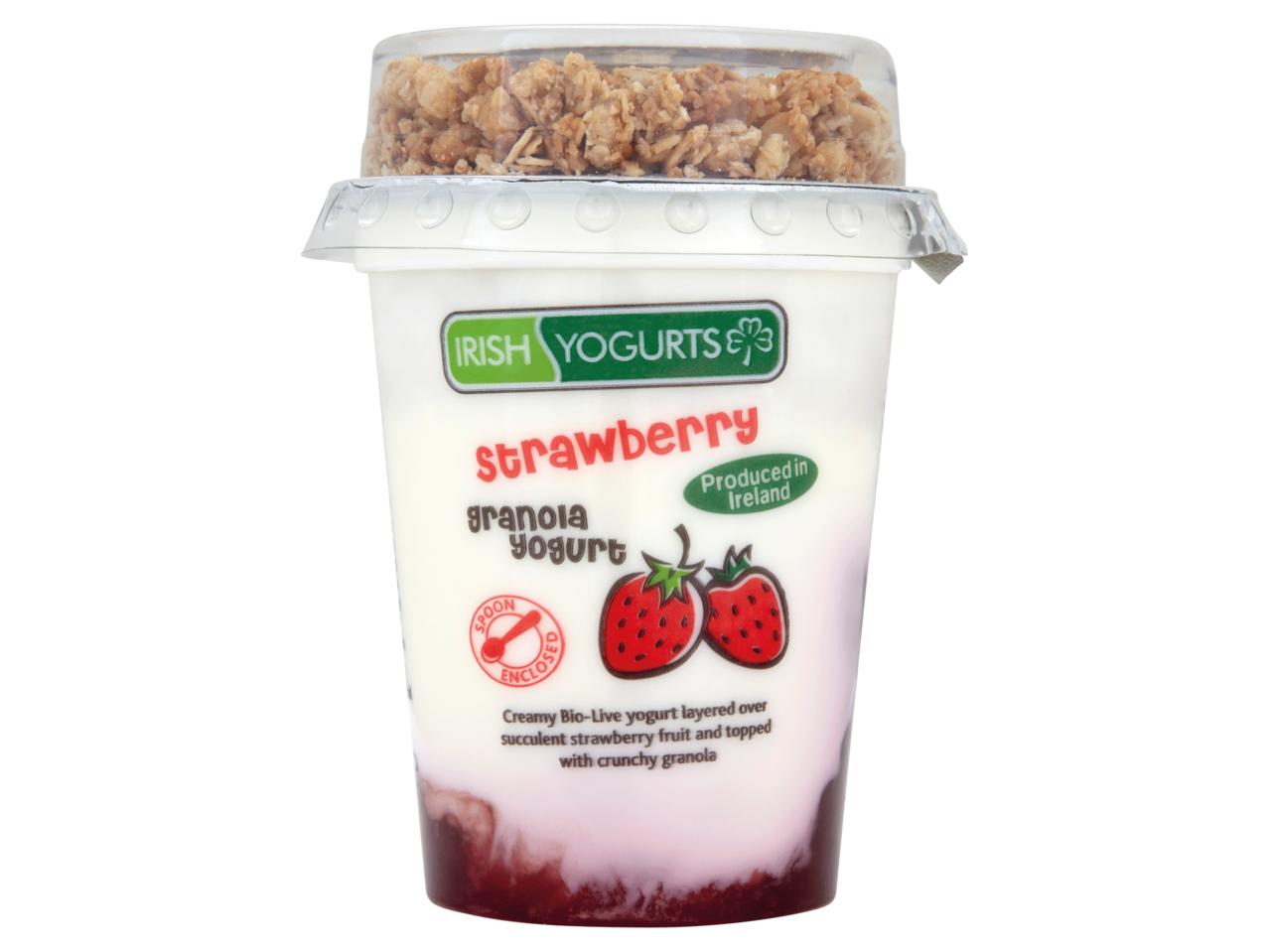 IRISH YOGURTS Granola Yogurt