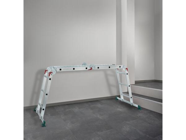 Multi-Purpose Ladder