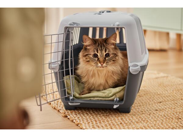 Cat Litter Tray or Pet Carrier