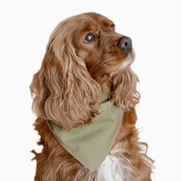 Bandana