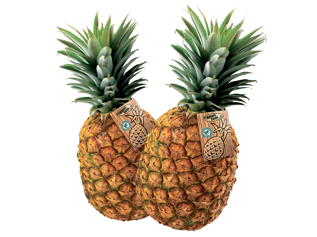 Ananas