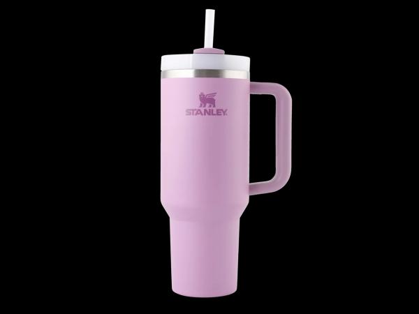 Stanley Drinks Bottle