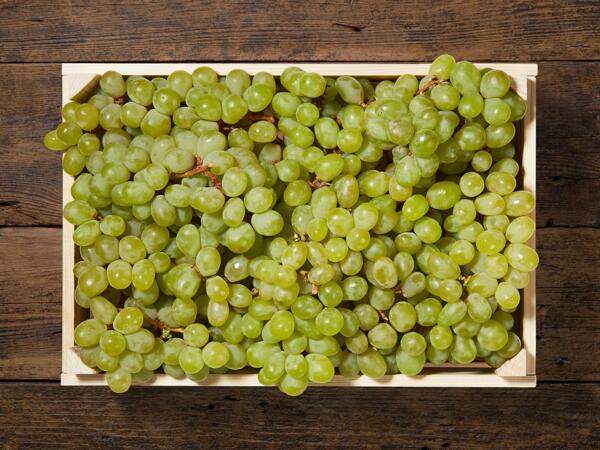 Raisin blanc