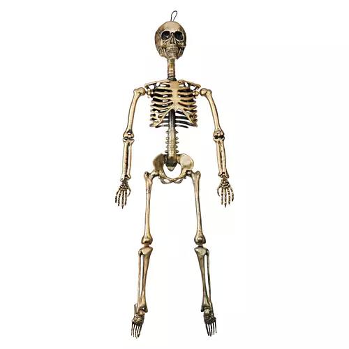 36" Tall Halloween Skeleton, Champagne Gold Color