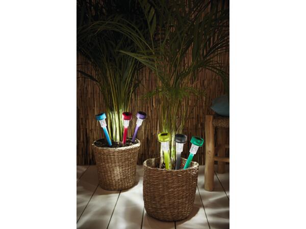 LED Solar Lights, 5 pieces