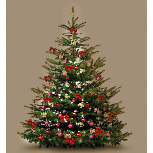 Weihnachtsbaum