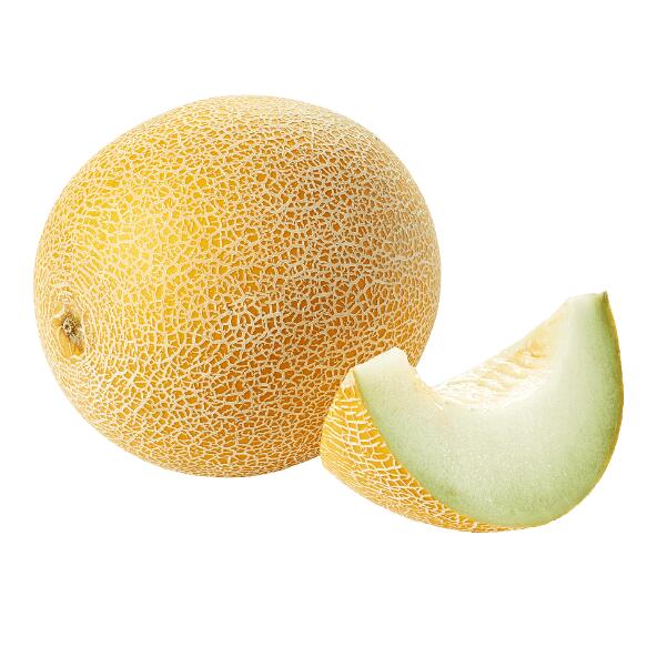 Galiamelone