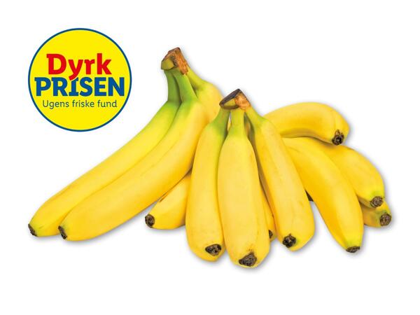 Rainforest banan