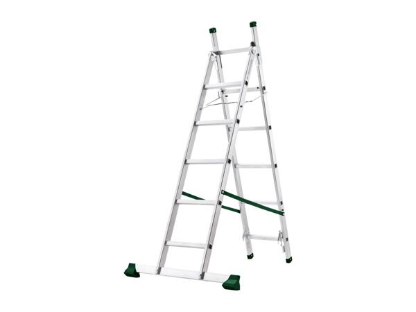 Multi-Purpose Ladder