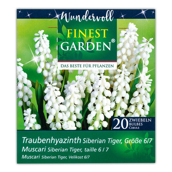 Blumenzwiebel-Mischung "Wundervoll"