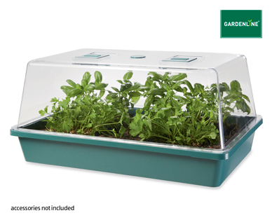 SEED AND CUTTING GREENHOUSE