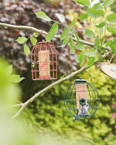 Bird Dragonfly Peanut Feeder Rust