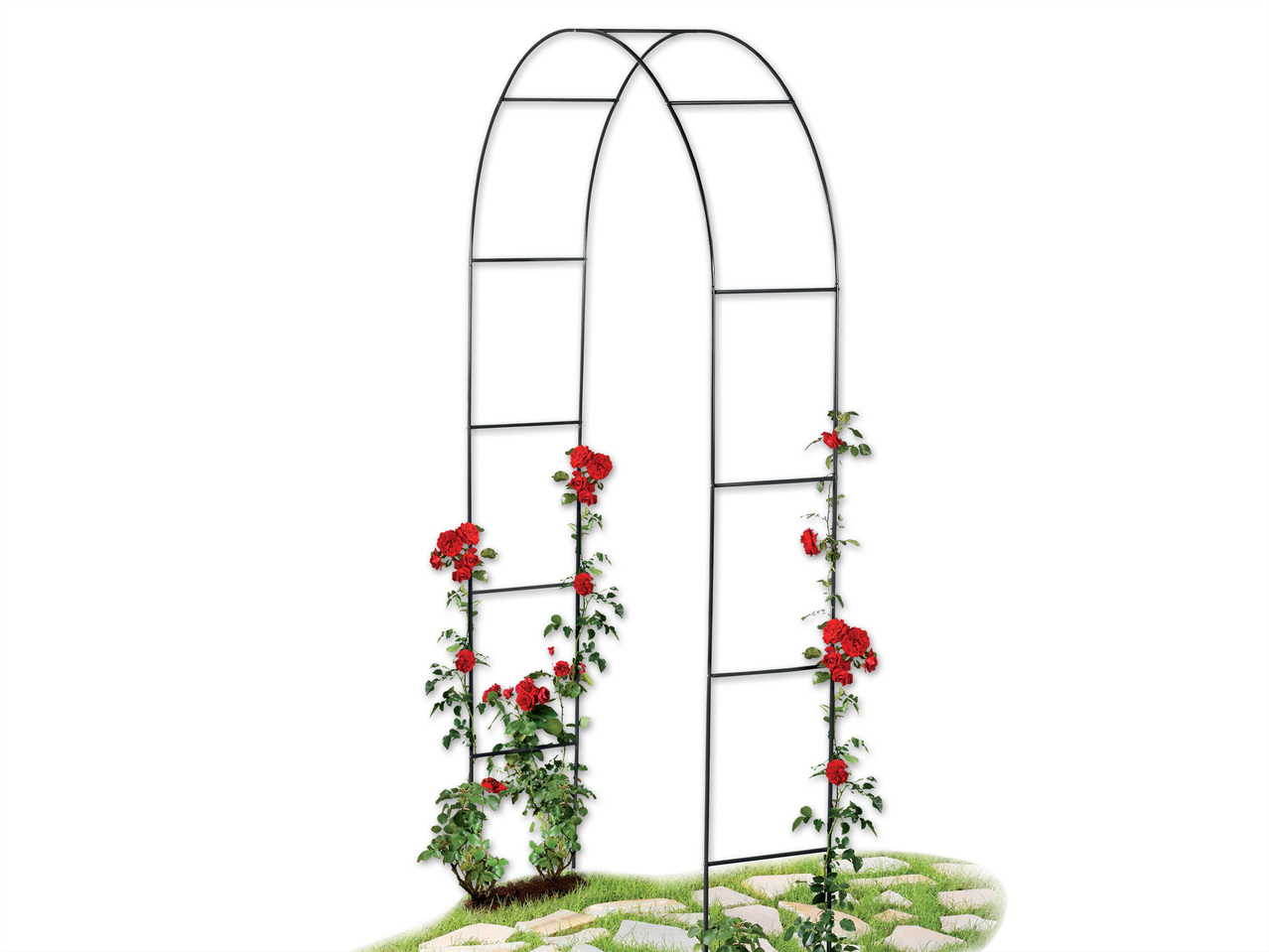 FLORABEST(R) Rosenbogen