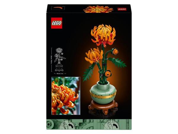 10368 Chryzantéma