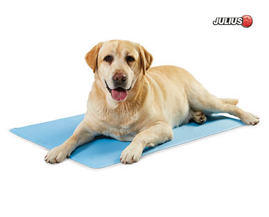 Dog Cooling Mat