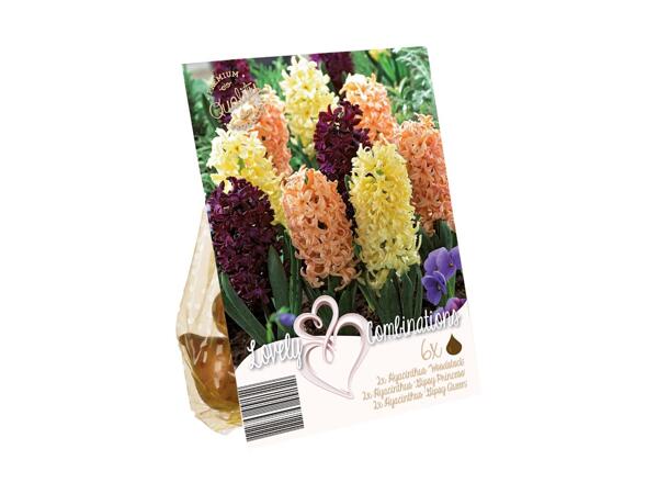 Blomsterløg