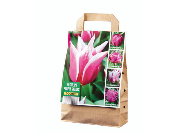 Bulbes de tulipes premium ton sur ton