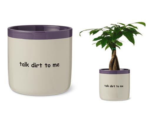 Belavi
6" Decorative Planter