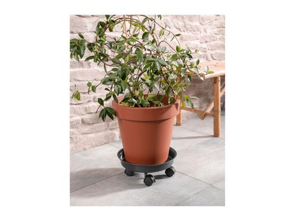 Parkside Plant Roller