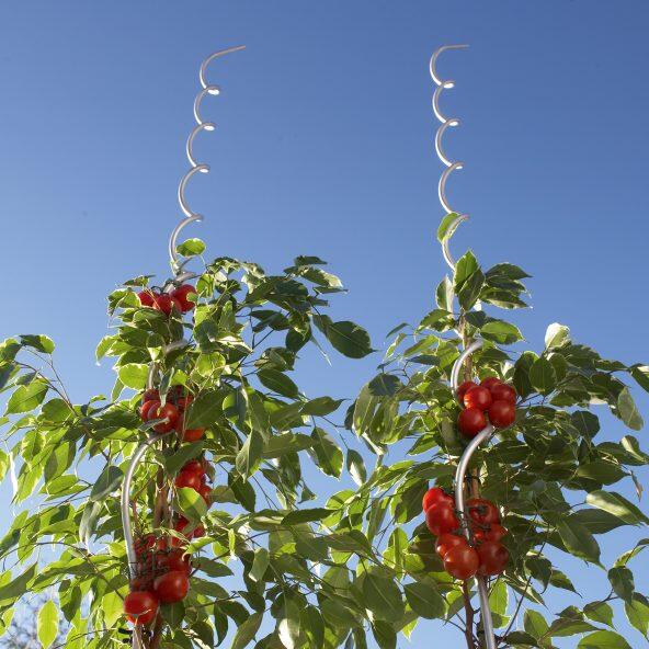 GARDENLINE(R) 				Tuteurs pour plantes