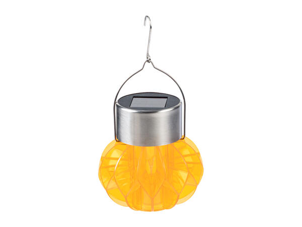 Livarno Home LED Solar Light