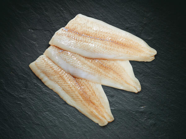 Filet de carrelet MSC