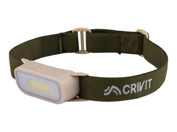 Green Head Torch