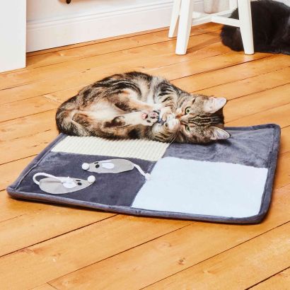 Tapis de jeu et à gratter pour chats