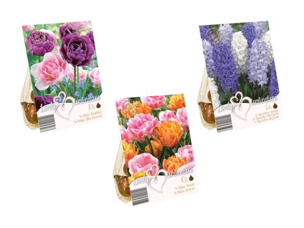 Blomsterløg