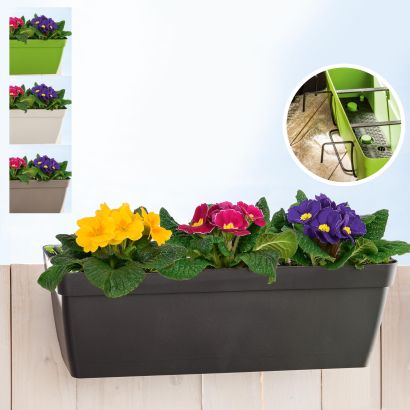 Blumenkasten für den Balkon