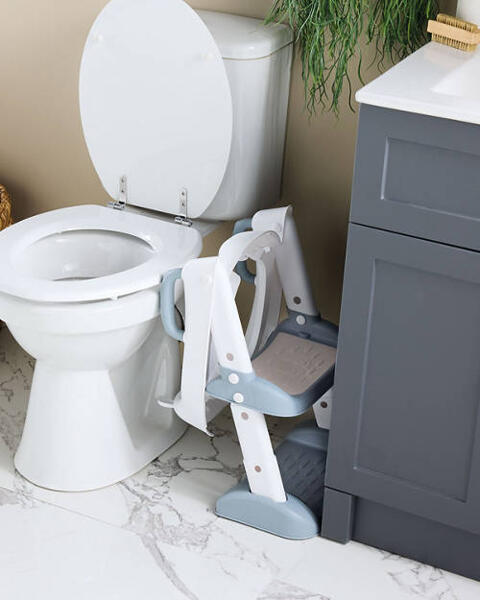 Toilet Trainer Stairs