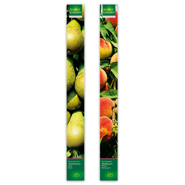 Obstbäume