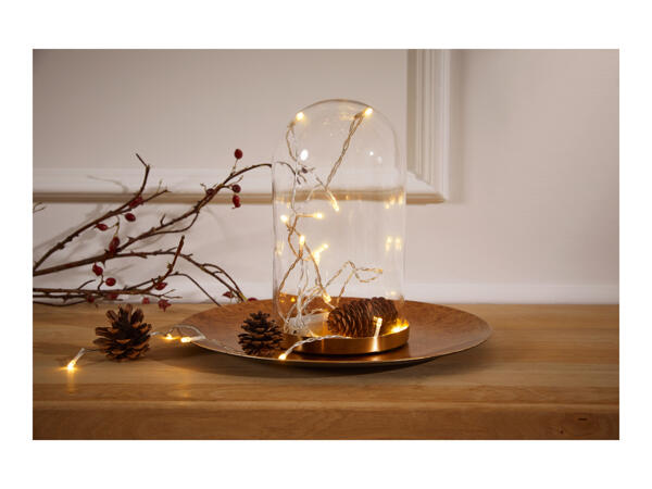 Livarno Home 20 LED String Lights