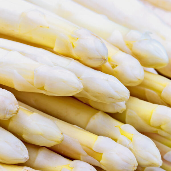 Spargel