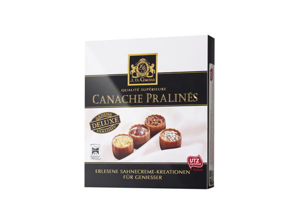 CANACHE PRALINKY