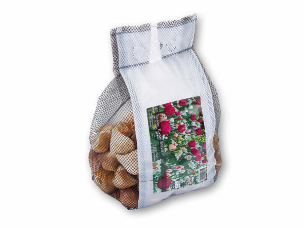 Blomsterløg i net