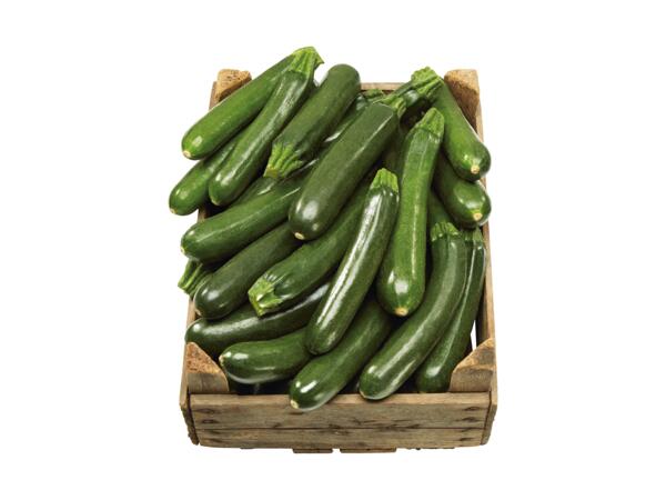Zucchini