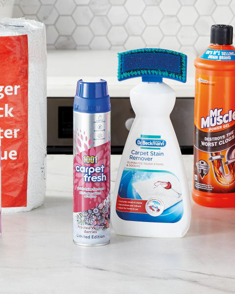1001 Carpet Freshener