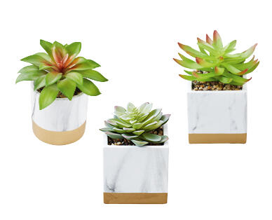 Artificial Plants in Decorative Pots
