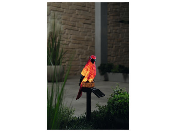 Decorative Solar Light