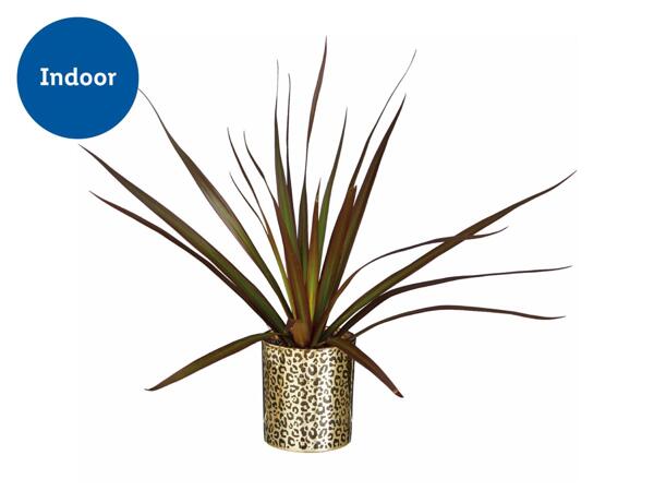Green Plants in Glass Pot