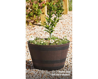 Whisky Barrel Planter