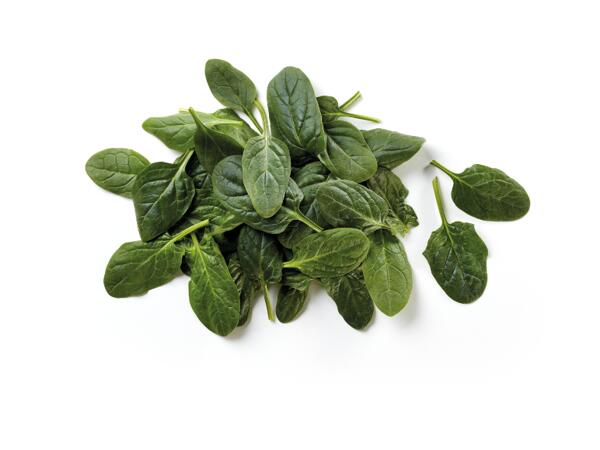 Spinach