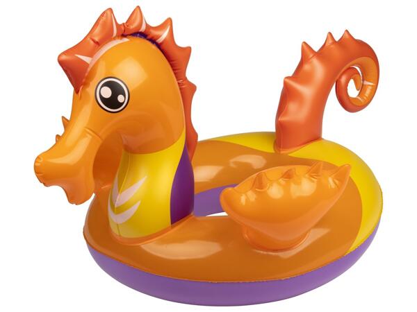 Inflatable Pool Ring
