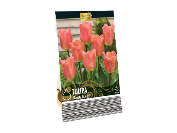 Flower bulbs