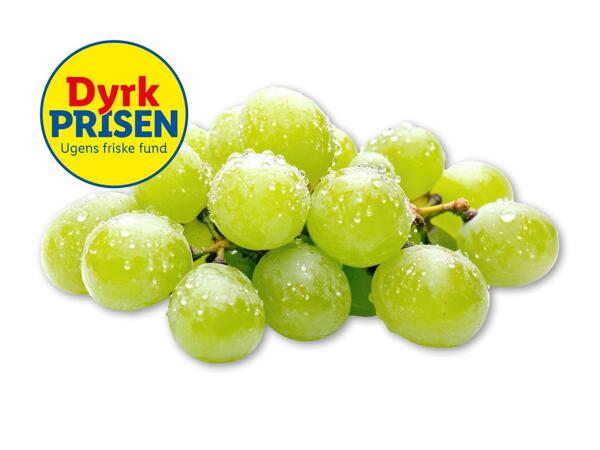 Grønne vindruer