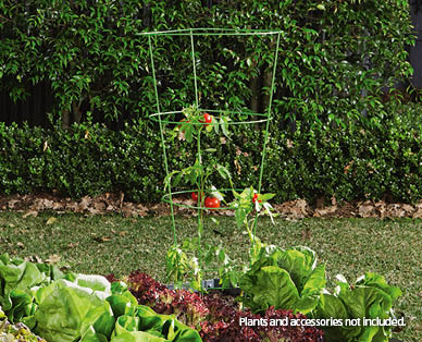 Tomato Cage