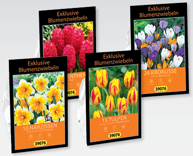 Exklusive Blumenzwiebeln