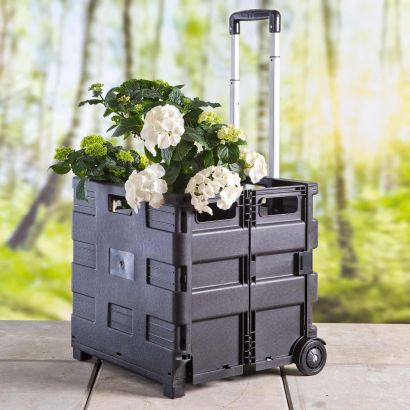 Zusammenlegbare Transportbox